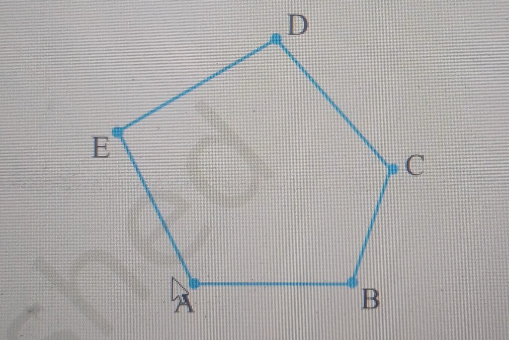 Image showing different types of polygons with labeled sides and vertices, including triangles, quadrilaterals, pentagons, and hexagons, illustrating basic geometrical ideas from the NCERT Class 6 Mathematics book.