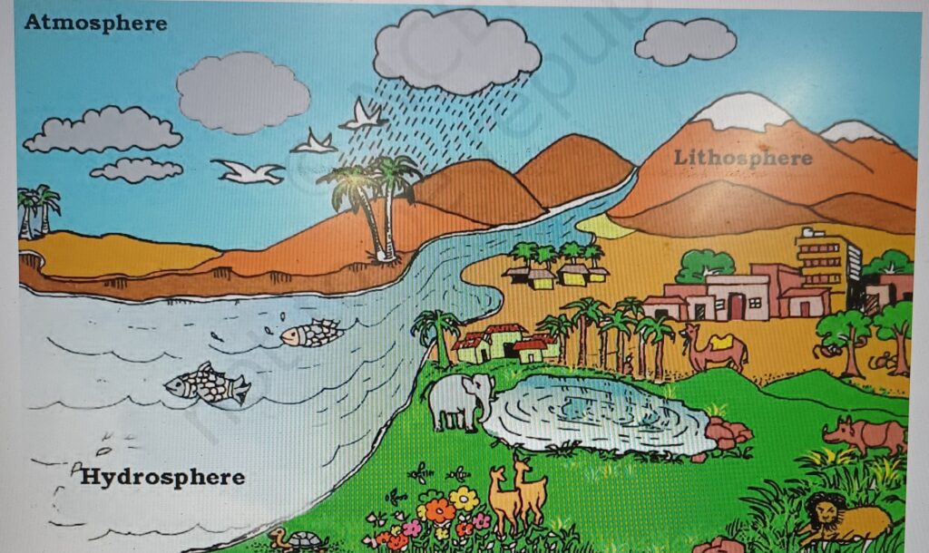 "Diagram depicting the interactions of the biosphere with the lithosphere, atmosphere, and hydrosphere, as explained in Chapter 5 of the Class 6 NCERT Social Science book, 'The Earth: Our Habitat'."